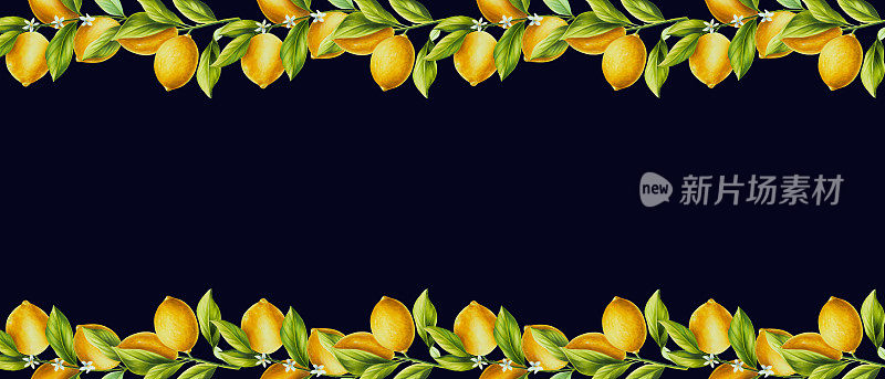 Watercolor border with fresh ripe lemon with bright green leaves and flowers. Hand drawn citrus painting on dark background. For designers, postcards, party Invitations, wrapping paper, covers. For posters and textile
